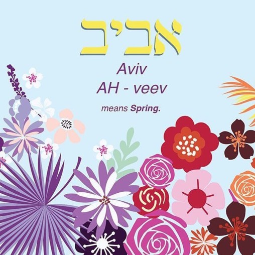 aviv