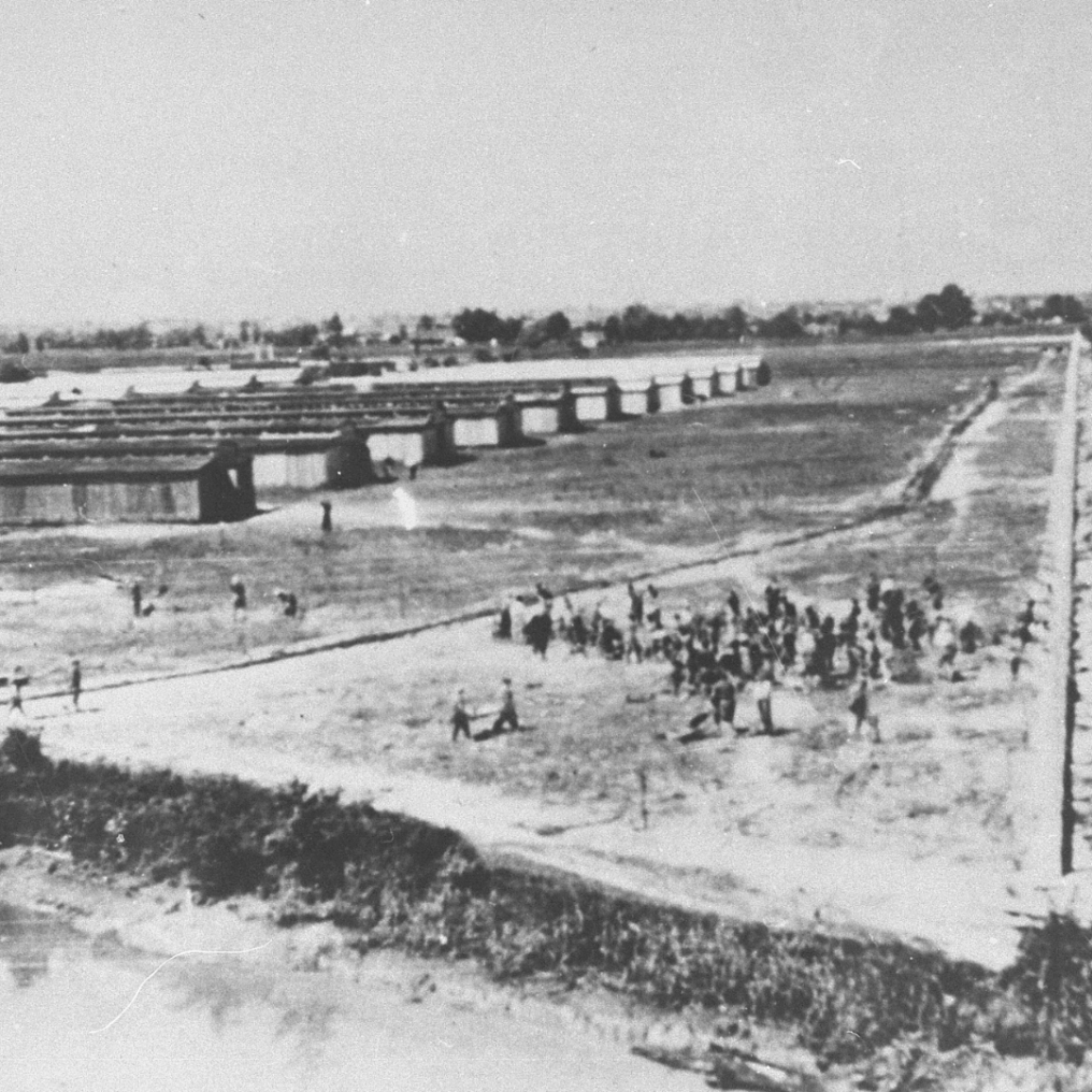 2 - Ester 2.png 2 - Ester 2.png