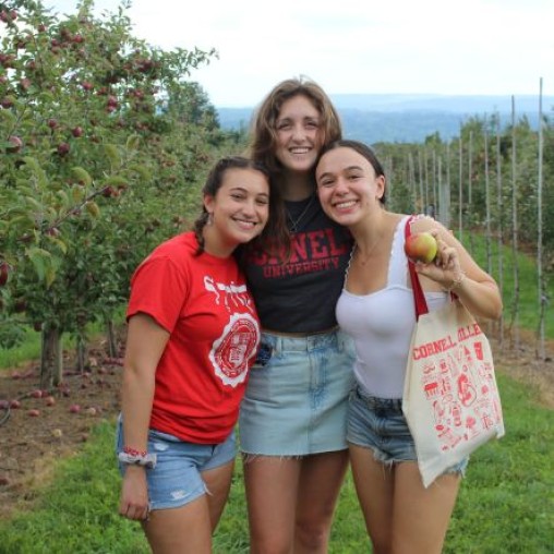 Three college students posing in an apple orchard