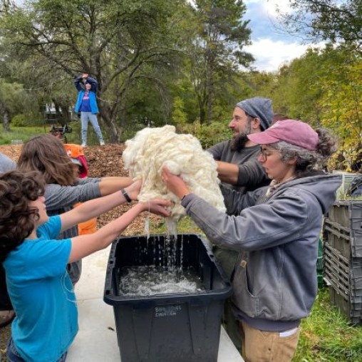 Students and teachers washing fleece