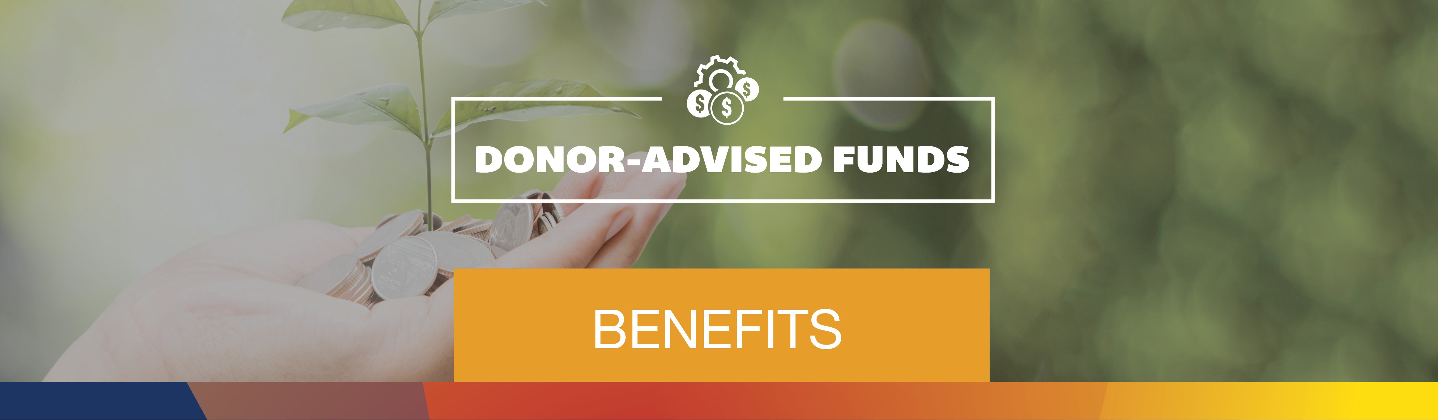 Donor Advised Funds Homepage Benefits Header copy