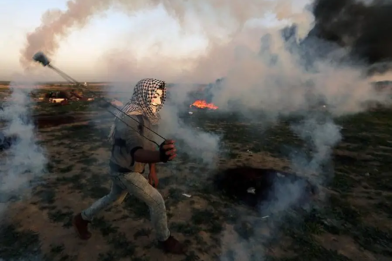 a year into gaza.png