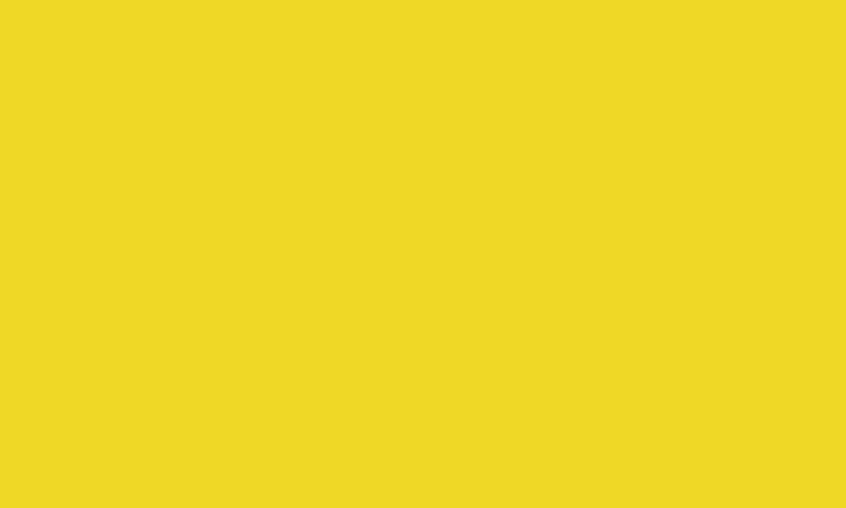 yellow background(2)