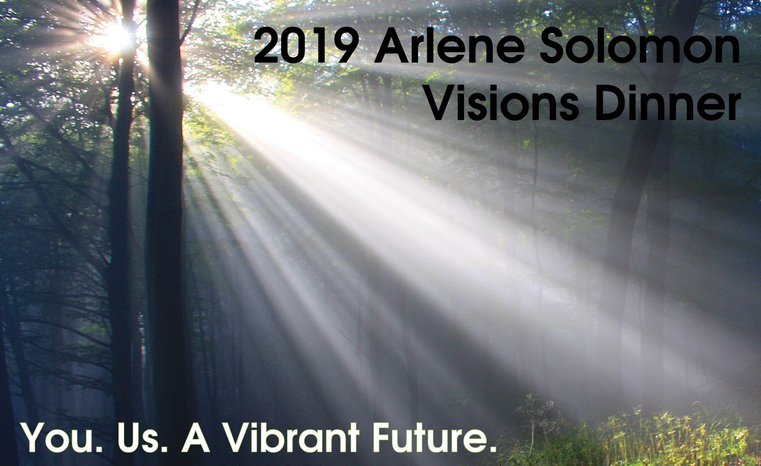 2019 Visions Post Event Header for Website v2