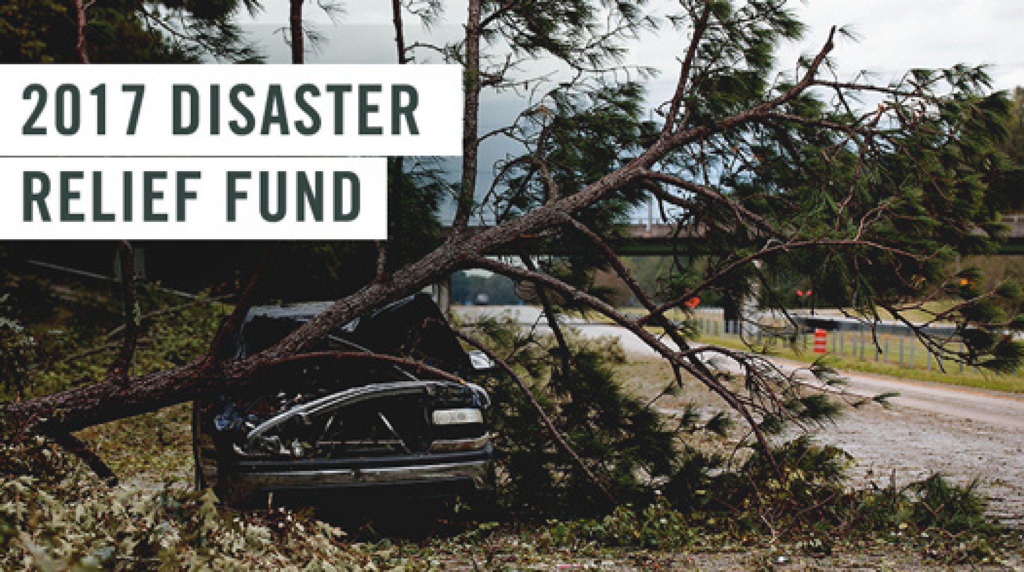 welcome-jcc-of-greater-new-haven