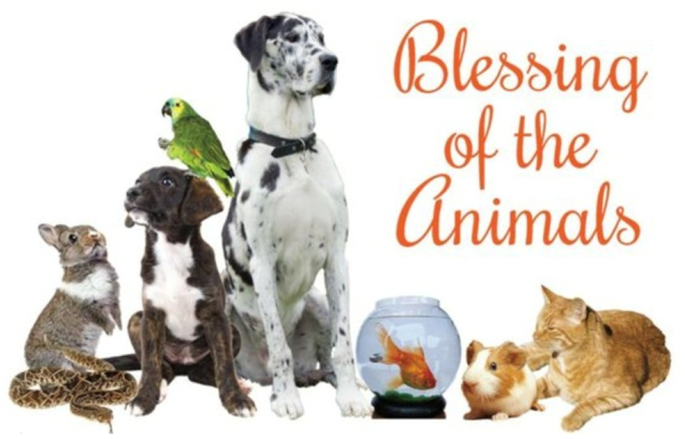 bless our pets
