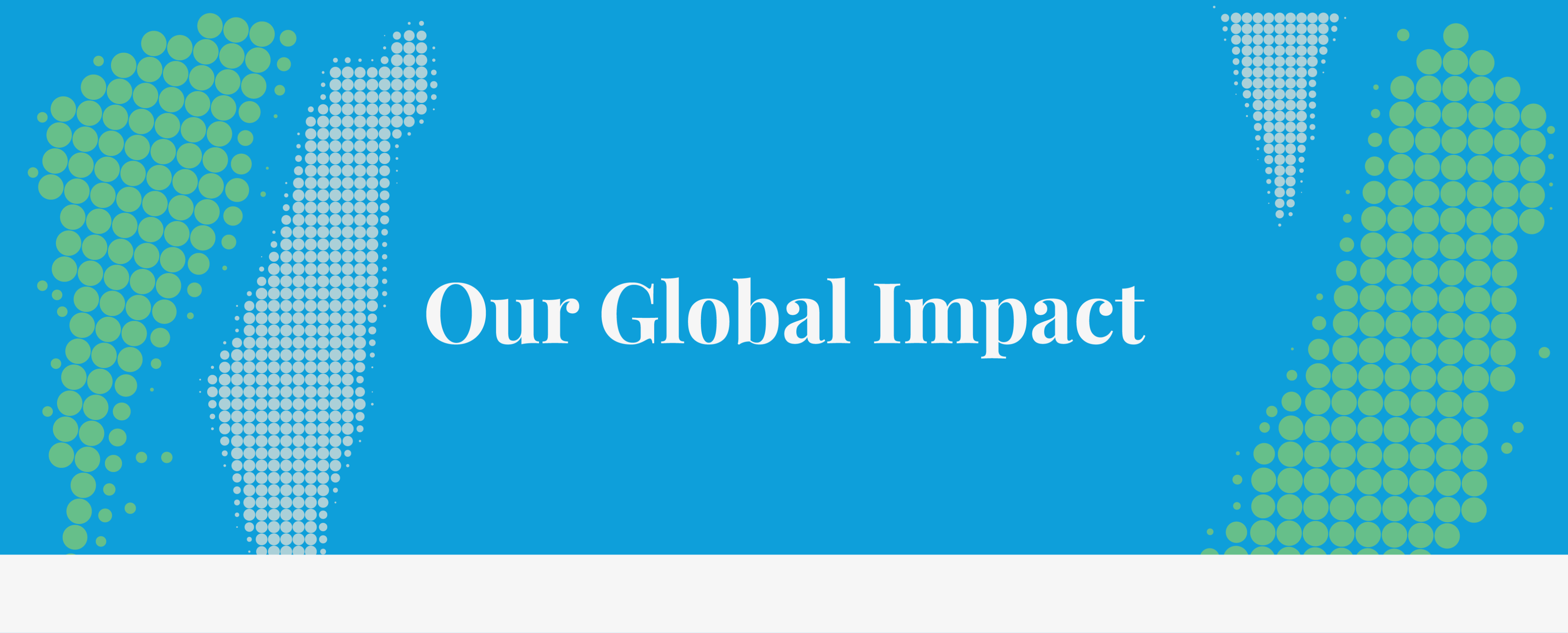 Our Global Impact
