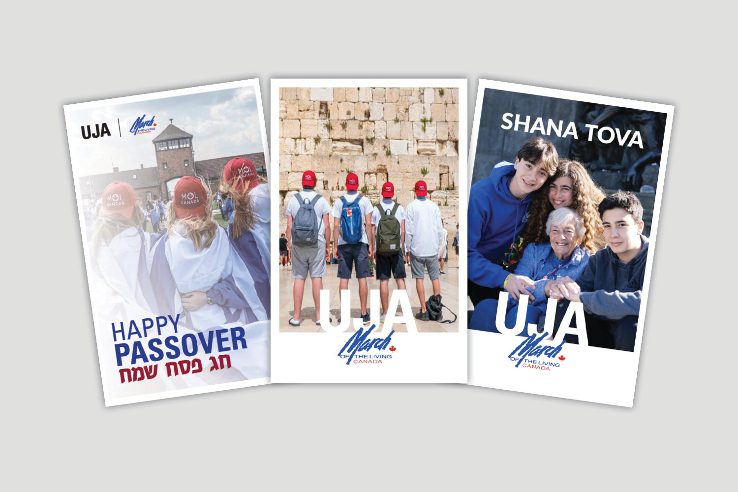 March of the Living Tribute Card