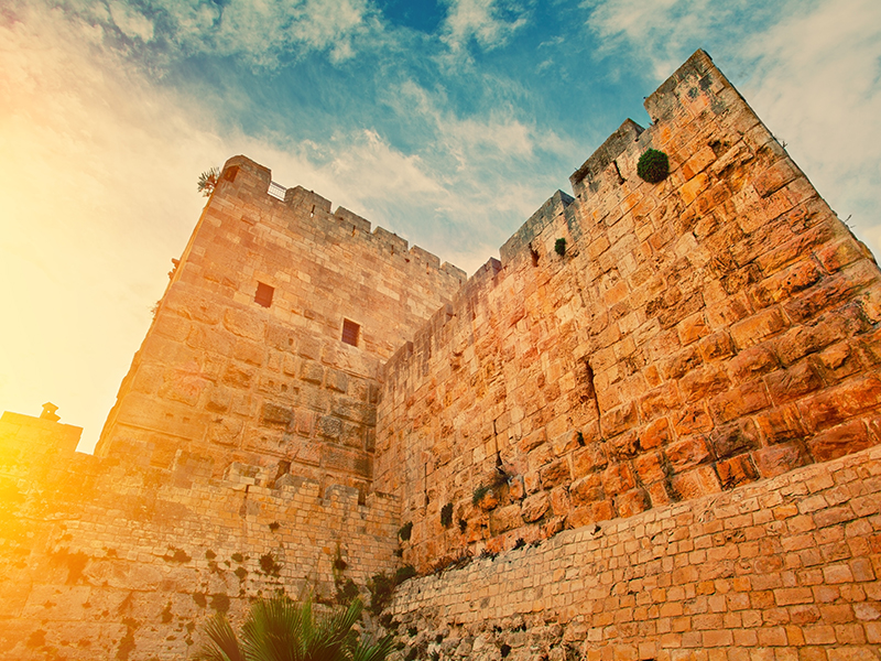 The walls from the old city