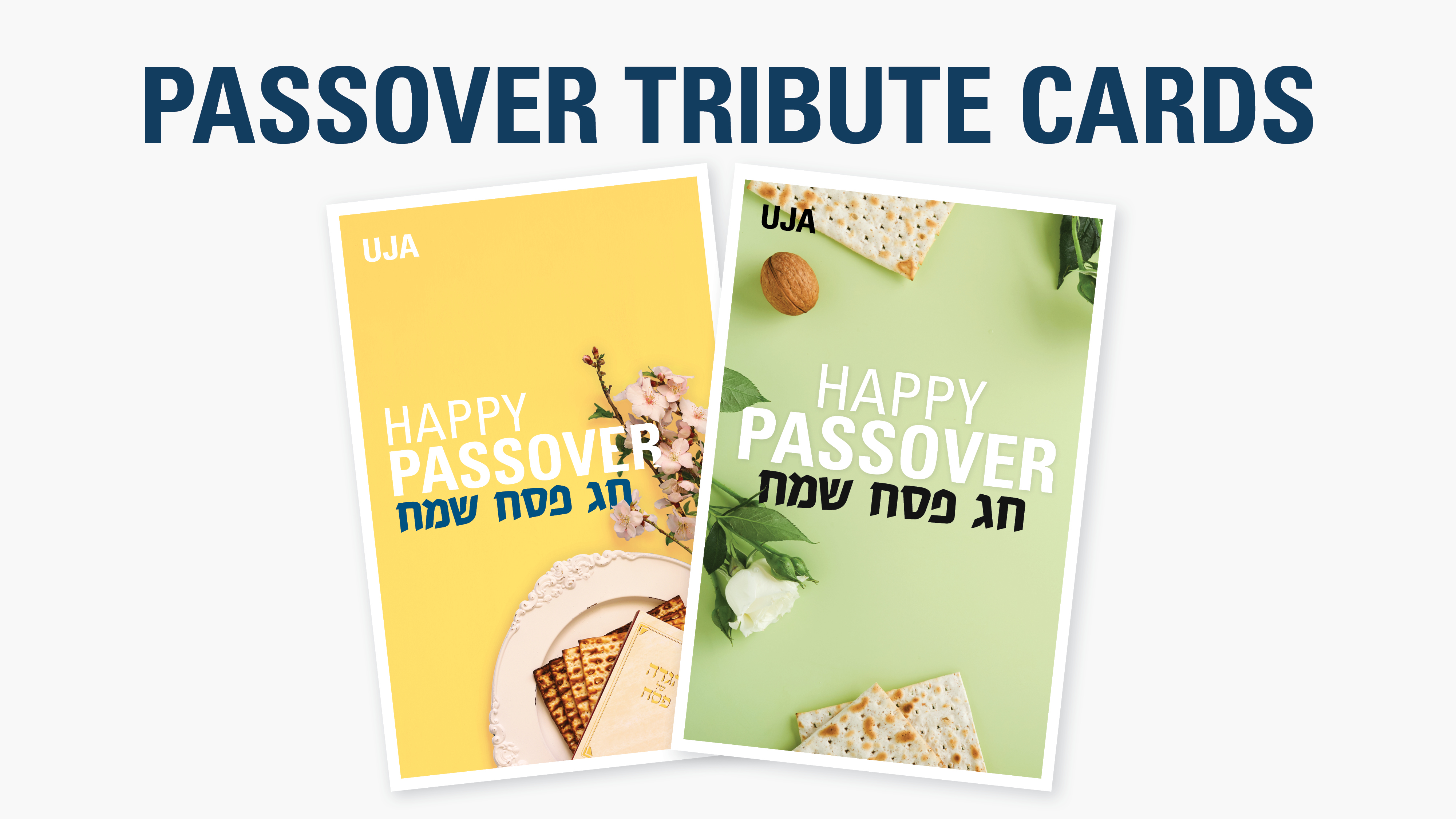 Passover Tribute Cards