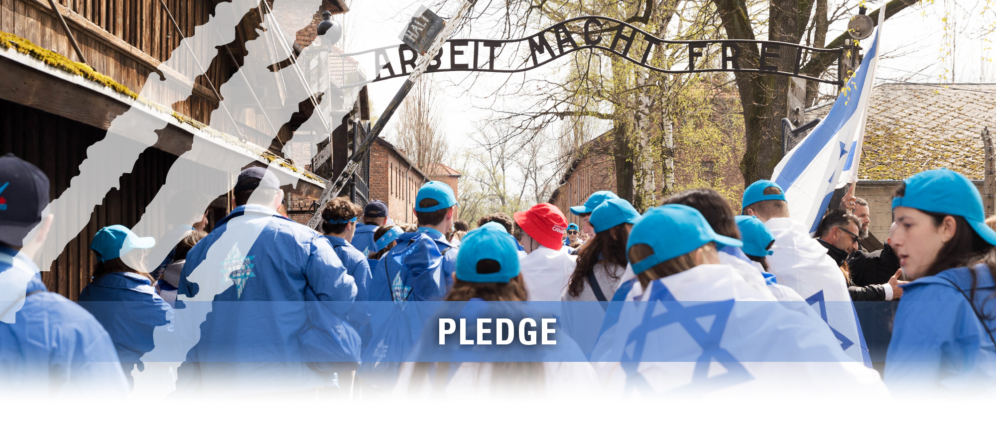 MOL participants entering Auschwitz