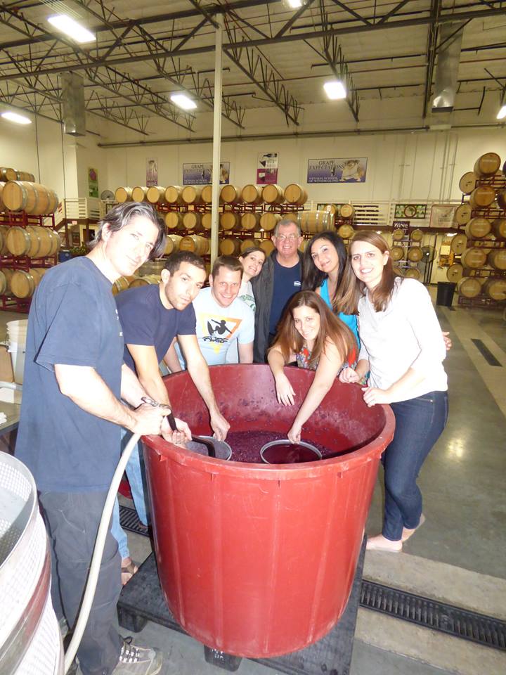 JewEL Wine Making Jewish Nevada