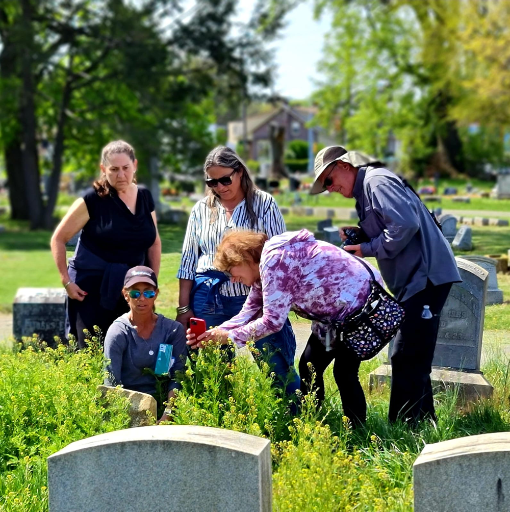 50 Acts of Kindness cleans up Mount Sinai Cemetery Jewish Family