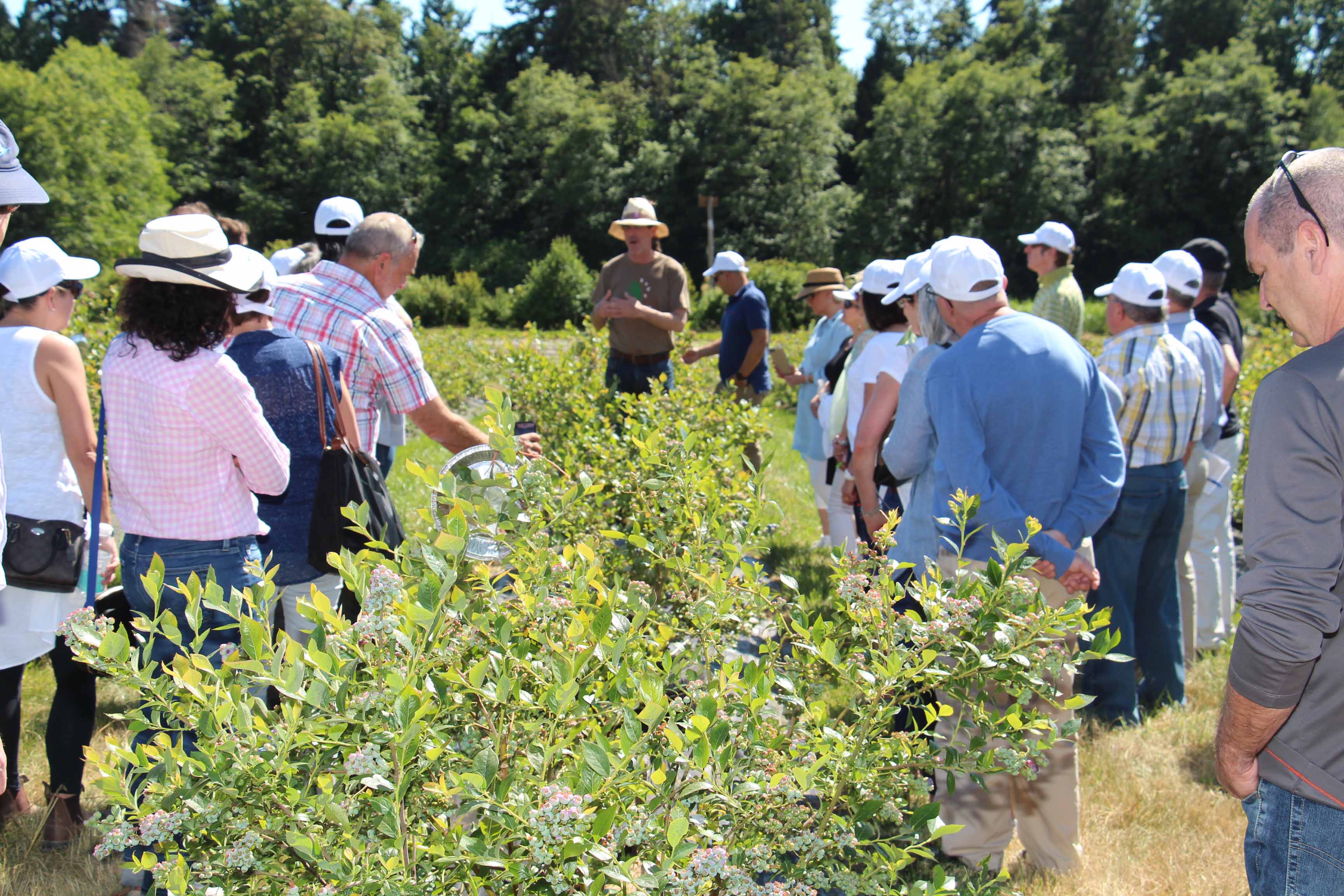Joint Steering Committee at the Centre for Sustainable Food Systems at the UBC Farm Joint Steering Committee at the Centre for Sustainable Food Systems at the UBC Farm